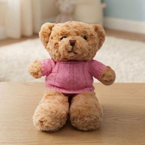 Teddy Bear Plush Toy in Pink Jersey